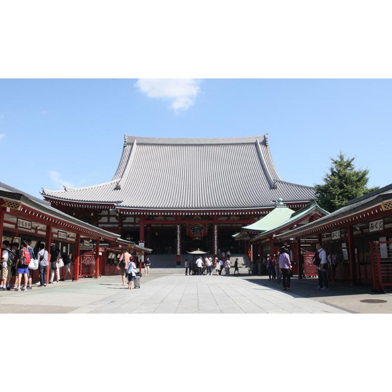 [預購] 淺草神社-