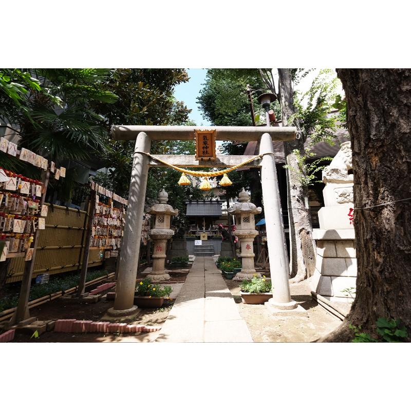 [預購] 高円寺氣象