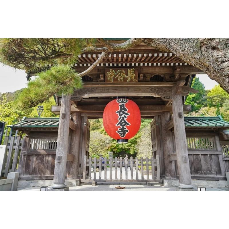 [預購] 鎌倉 長谷