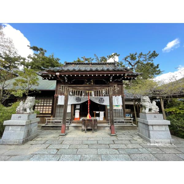 [預購] 新潟 寄居