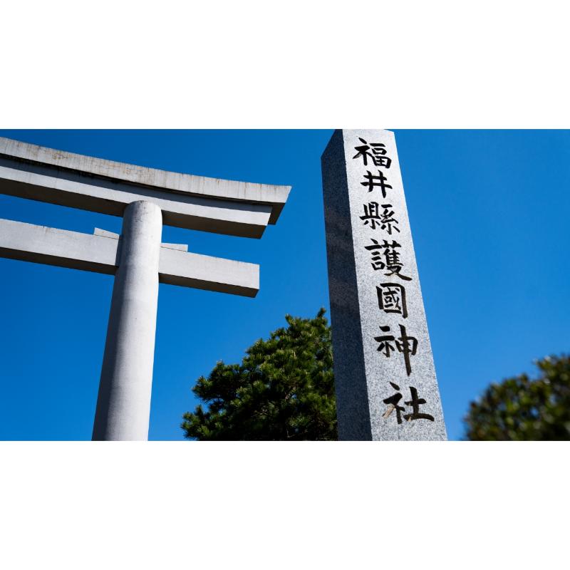 [預購] 福井 護國