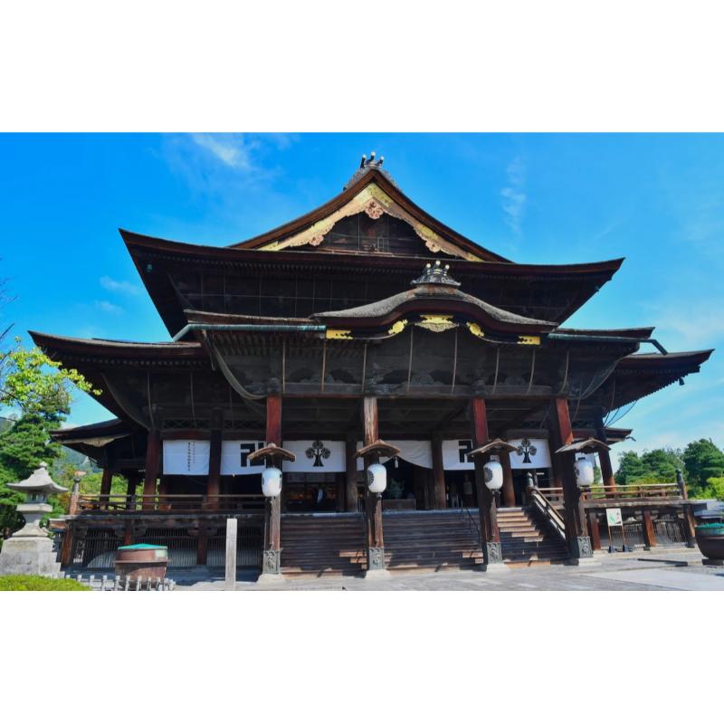 [預購] 長野 善光