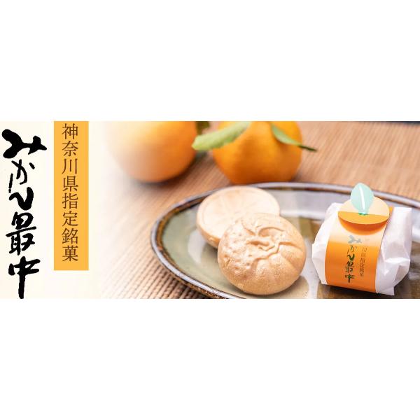 [預購] 味樂庵 年